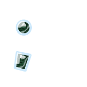 243