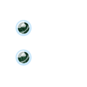 244