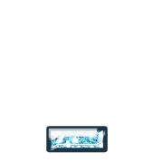 250
