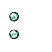 244