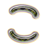 010