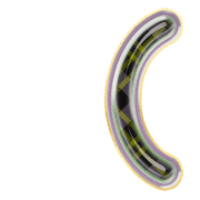 234