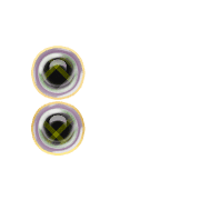 244