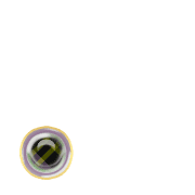 246