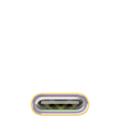 250