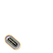 256