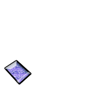 256