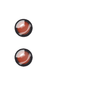 244