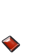 256