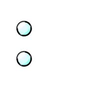 244