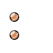 244