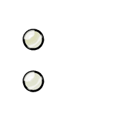 244