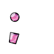 243