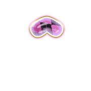 231