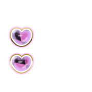 244
