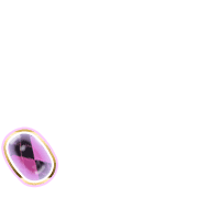 256