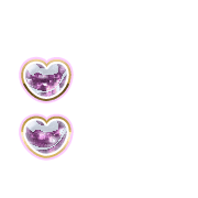 244