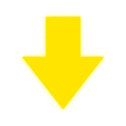 261