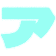 081