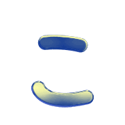 010