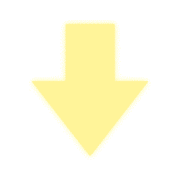 261