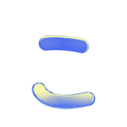 010