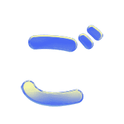 060