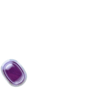 256