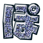 080