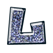 113