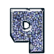 204