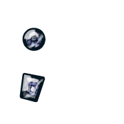 243
