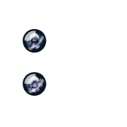 244