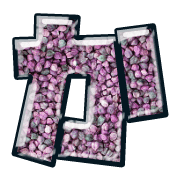 006