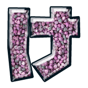 009