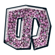 025