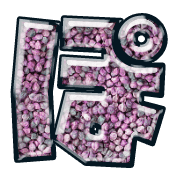 080