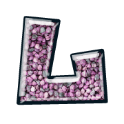 113