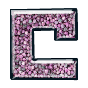 164