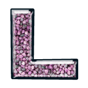 173