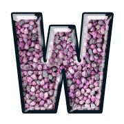 184