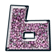219