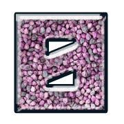 223