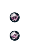 244