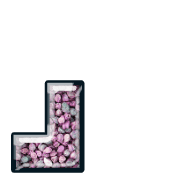 255