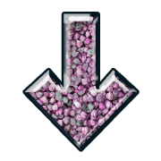 261