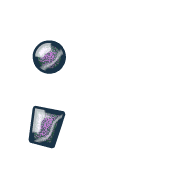 243