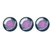 257