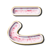 010