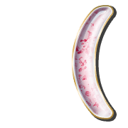 234